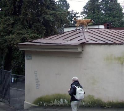 Прикрепленное изображение: 009-2.jpg